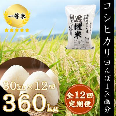 ふるさと納税 長和町 [毎月定期便]精米まるごと田んぼ1区画分!コシヒカリ360kg保障 30kg/月全12回
