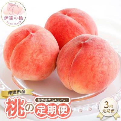ふるさと納税 伊達市 [2週間毎定期便]3回届く!伊達市産の桃の定期便 特秀もも大玉セット4玉入り(約1.2kg)全3回