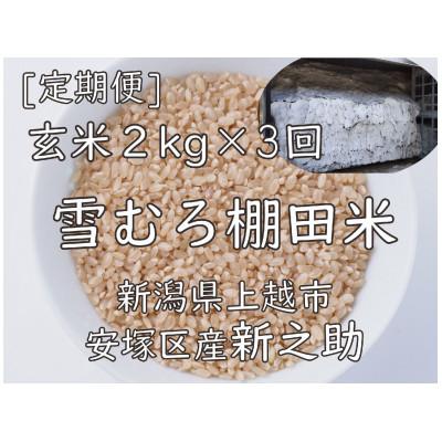 ふるさと納税 上越市 [毎月定期便]雪むろ棚田米-新之助2kg(2kg×1袋)玄米-新潟県上越市安塚区産-全3回