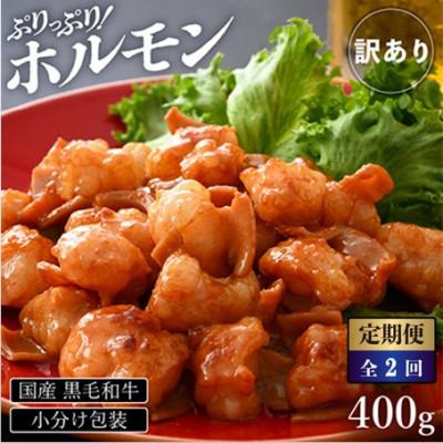 ふるさと納税 越前町 [2ヵ月毎定期便][訳あり]黒毛和牛 ぷりっぷりのホルモン 特製タレ味付き400g全2回