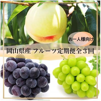 ふるさと納税 美咲町 [発送月固定定期便]岡山県産 フルーツ定期便[お一人様向け]全3回