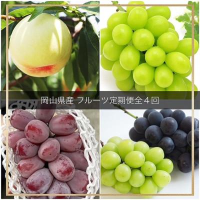 ふるさと納税 高梁市 [発送月固定定期便]岡山県産 フルーツ定期便全4回