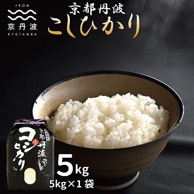 ふるさと納税 京丹波町 [毎月定期便]京丹波こしひかり5kg 京都 精米全3回