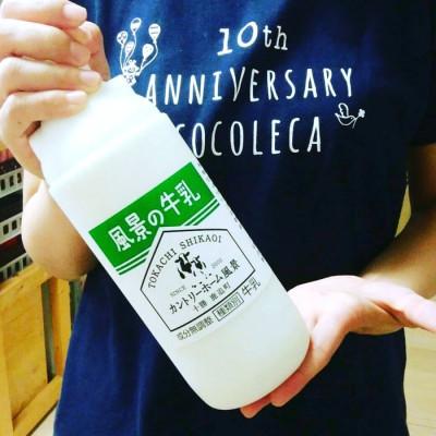 ふるさと納税 鹿追町 [毎月定期便]風景の牛乳 900ml 牧場てづくりのむヨーグルト 900g 各1本全3回