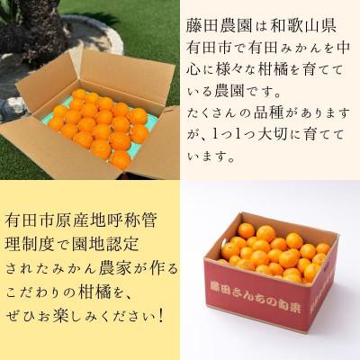 ふるさと納税 有田市 [発送月固定定期便]不知火(しらぬい)約5kg 有田みかん「未来への虹」約5kgをお届け全2回