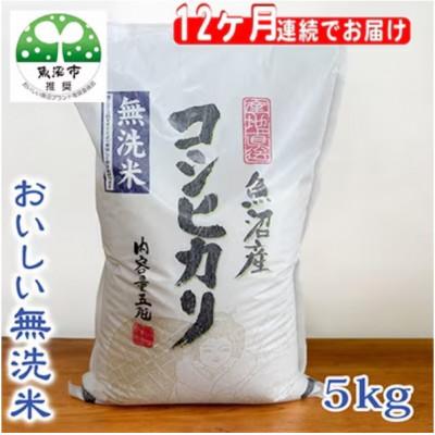 ふるさと納税 魚沼市 [毎月定期便]お米マイスター厳選 魚沼産コシヒカリ(無洗米)5kg全12回