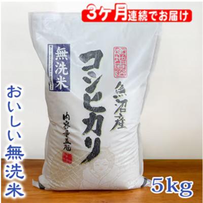 ふるさと納税 魚沼市 [毎月定期便]お米マイスター厳選(無洗米)魚沼産コシヒカリ100% 5kg全3回