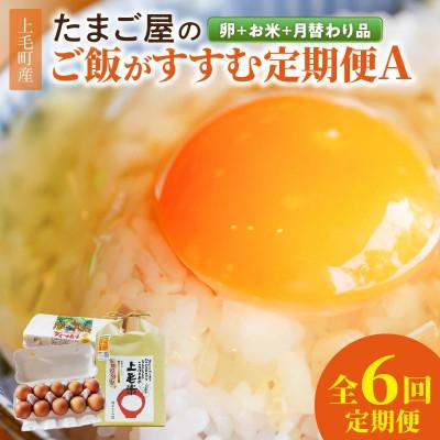 ふるさと納税 上毛町 [毎月定期便]たまご屋の「ご飯がすすむ定期便A」(卵20個・米2kg・月替わり品)全6回