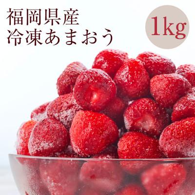 ふるさと納税 大野城市 [2週間毎定期便][濃厚な味わい!]冷凍いちご「博多あまおう」1kg全4回