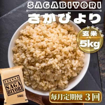 ふるさと納税 鳥栖市 [毎月定期便][玄米]さがびより玄米5kg(鳥栖市)全3回