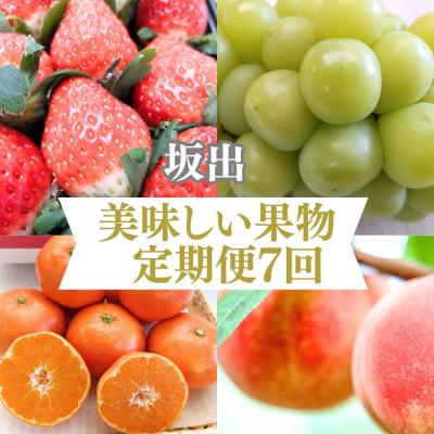 ふるさと納税 坂出市 [発送月固定定期便]坂出美味しい果物定期便全7回