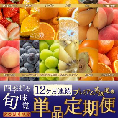 ふるさと納税 高松市 [発送月固定定期便]〜プレミアム等級選果〜四季折々旬味覚!12ヶ月連続単品定期便♪全12回