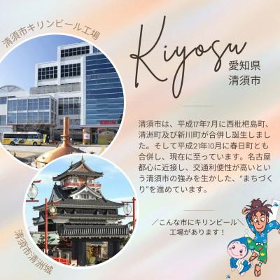 ふるさと納税 清須市 【毎月定期便】キリン氷結ストロングシチリア産レモン350ml×48本全3回_1
