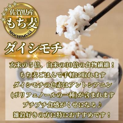 ふるさと納税 鳥栖市 【毎月定期便】【もち麦】ダイシモチ300g×3袋(計900g)(鳥栖市)全3回_2