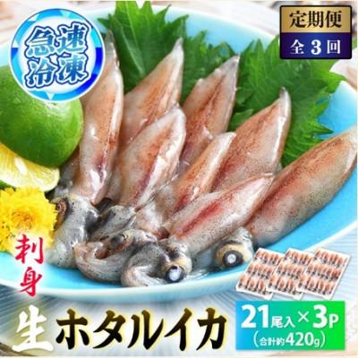 ふるさと納税 越前町 [毎月定期便]ホタルイカ(刺身・しゃぶしゃぶ用) 21尾入 × 3パック 合計約420g全3回