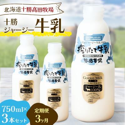 ふるさと納税 鹿追町 [毎月定期便]十勝ジャージー牛乳 750ml×3本セット全3回