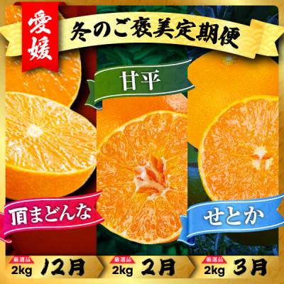 ふるさと納税 八幡浜市 [発送月固定定期便][冬のご褒美定期便]まどんな・甘平・せとか 3種食べ比べ[H31-67]全3回