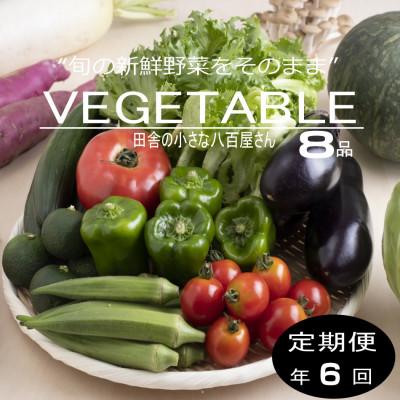 ふるさと納税 印南町 [発送月固定定期便]旬の新鮮野菜セット8種以上 奇数月発送[野菜詰め合わせ]全6回