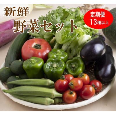 ふるさと納税 印南町 [発送月固定定期便]旬の新鮮野菜セット 13種以上 奇数月発送 和歌山産全6回