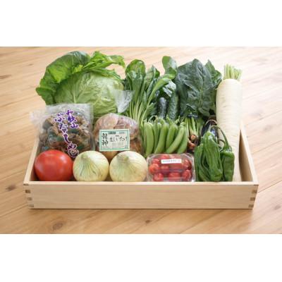 ふるさと納税 印南町 【発送月固定定期便】旬の新鮮野菜セット 13種