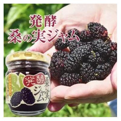 ふるさと納税 合志市 [毎月定期便]発酵桑の実 ジャム 2個セット(100g×2)全3回