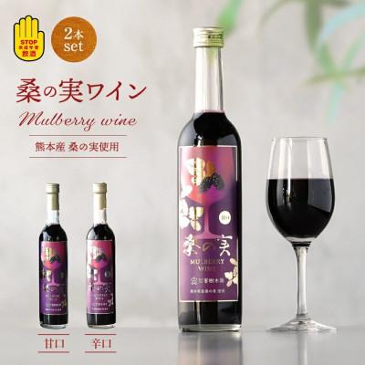 ふるさと納税 合志市 [毎月定期便]桑の実ワイン甘口・辛口2本セット(各500ml)全3回