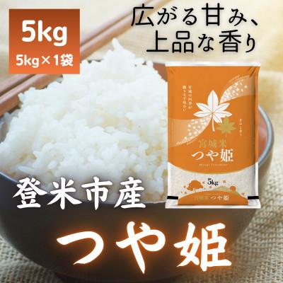 ふるさと納税 登米市 [毎月定期便]宮城県登米市産 つや姫(精米) 5kg全2回