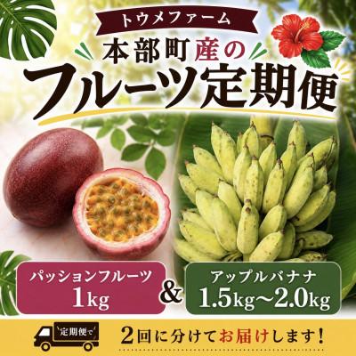 ふるさと納税 本部町 [発送月固定定期便]トウメファームが厳選したフルーツ定期便 パッションフルーツ&amp;アップルバナナ全2回