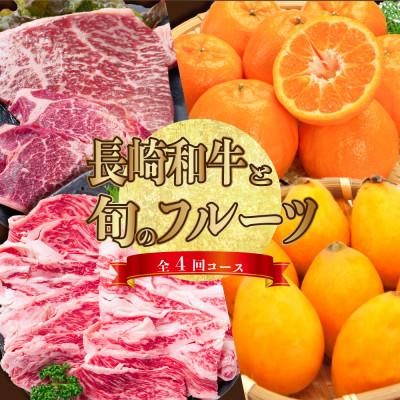 ふるさと納税 南島原市 [発送月固定定期便]長崎和牛と旬のフルーツが楽しめる バラエティ定期便 ヒレ カルビ びわ全4回