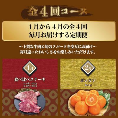 ふるさと納税 南島原市 【発送月固定定期便】長崎和牛と旬のフルーツが楽しめる バラエティ定期便 ヒレ カルビ びわ全4回 |  | 01