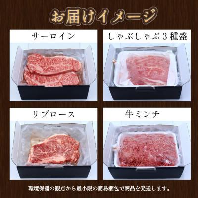 ふるさと納税 南島原市 【発送月固定定期便】長崎和牛と旬のフルーツが楽しめる バラエティ定期便 ヒレ カルビ びわ全4回 |  | 03