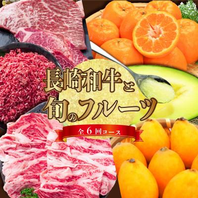 ふるさと納税 南島原市 [発送月固定定期便]長崎和牛と旬のフルーツが楽しめる バラエティ定期便 ステーキ メロンなど全6回