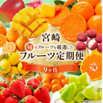 ふるさと納税 宮崎市 [発送月固定定期便]旬のフルーツ9ヵ月定期便Vol.1(M348-T008)全9回