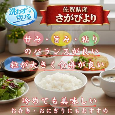 ふるさと納税 江北町 【毎月定期便】【無洗米】さがびより10kg【5kg×2