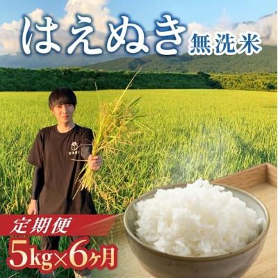 ふるさと納税 酒田市 [発送月固定定期便][先行受付]無洗米 はえぬき 5kg全6回