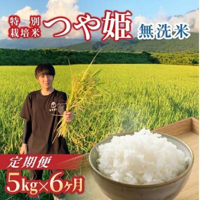 ふるさと納税 酒田市 [発送月固定定期便][先行受付]無洗米 つや姫 5kg全6回