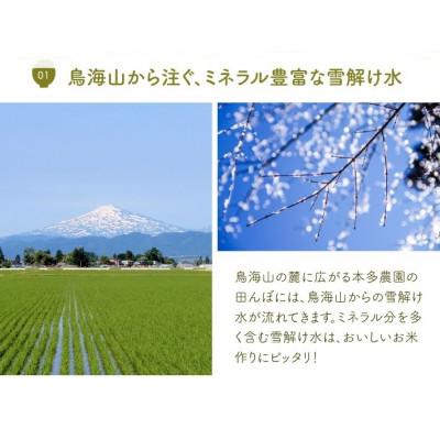 ふるさと納税 酒田市 【発送月固定定期便】《先行受付》無洗米　つや姫　5kg全6回_2