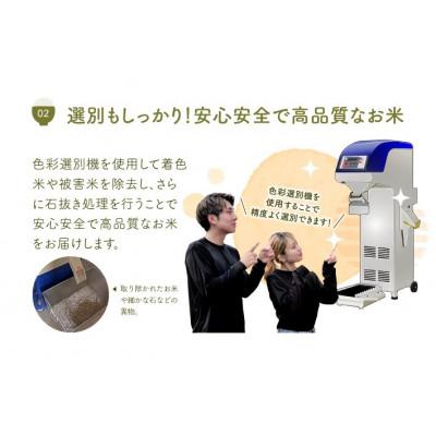 ふるさと納税 酒田市 【発送月固定定期便】《先行受付》無洗米　つや姫　5kg全6回_3