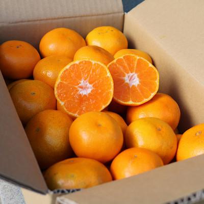ふるさと納税 湯浅町 [発送月固定定期便][まごころ手選別]有田みかん 3kg 秀品[11月・12月・1月発送]全3回