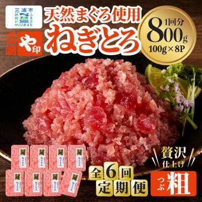 ふるさと納税 三浦市 [毎月定期便][三崎港直送!]天然三崎まぐろ 本格ねぎとろ(大鉢まぐろ使用)全6回