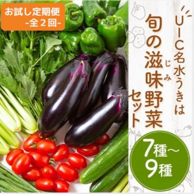 ふるさと納税 うきは市 [毎月定期便][お試し]名水うきは 旬の滋味(じみ)野菜セット 全2回