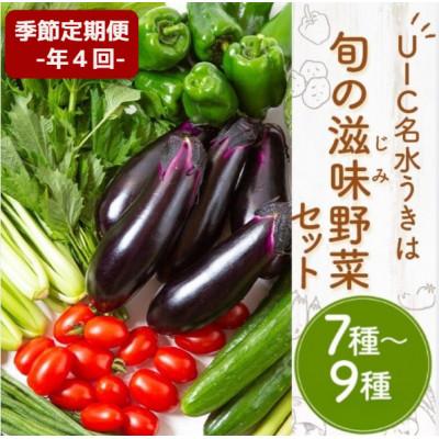ふるさと納税 うきは市 [3ヵ月毎定期便]名水うきは 旬の滋味(じみ)野菜セット[季節ごとにお届け]全4回