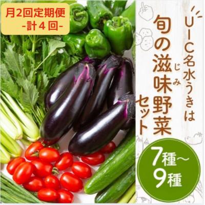 ふるさと納税 うきは市 [2週間毎定期便]名水うきは 旬の滋味(じみ)野菜セット 全4回