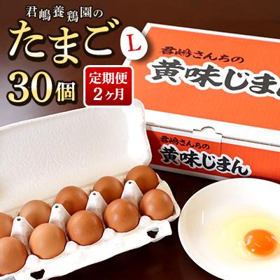 ふるさと納税 芳賀町 [毎月定期便][君嶋養鶏園]Lサイズ 卵30個(27個+割れ補償3個)◆卵かけご飯にも◎全2回
