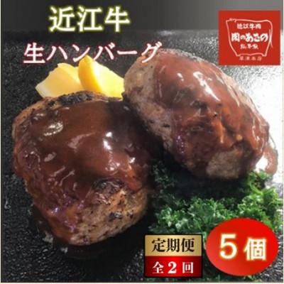 ふるさと納税 草津市 [毎月定期便]近江牛生ハンバーグ 650g(130g×5個) ソース付き全2回