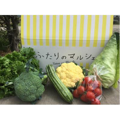 ふるさと納税 江別市 [発送月固定定期便]Ambitious Farm 季節の彩り野菜セット S (7・9・11月)全3回