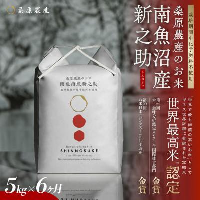 ふるさと納税 南魚沼市 [発送月固定定期便]ギネス世界記録「世界最高米」認定 最高級南魚沼産新之助5kg (精米)全6回