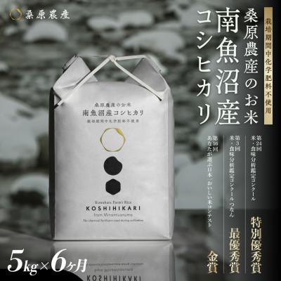 ふるさと納税 南魚沼市 [発送月固定定期便]最優秀賞受賞[栽培期間中8割農薬減]南魚沼産コシヒカリ5kg全6回