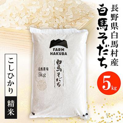 ふるさと納税 白馬村 [毎月定期便]『白馬そだち』長野県白馬村産 お米 こしひかり5kg(精米)全2回