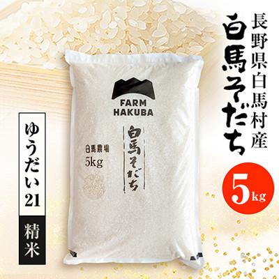 ふるさと納税 白馬村 [毎月定期便]『白馬そだち』長野県白馬村産 お米 ゆうだい21 5kg(精米)全2回